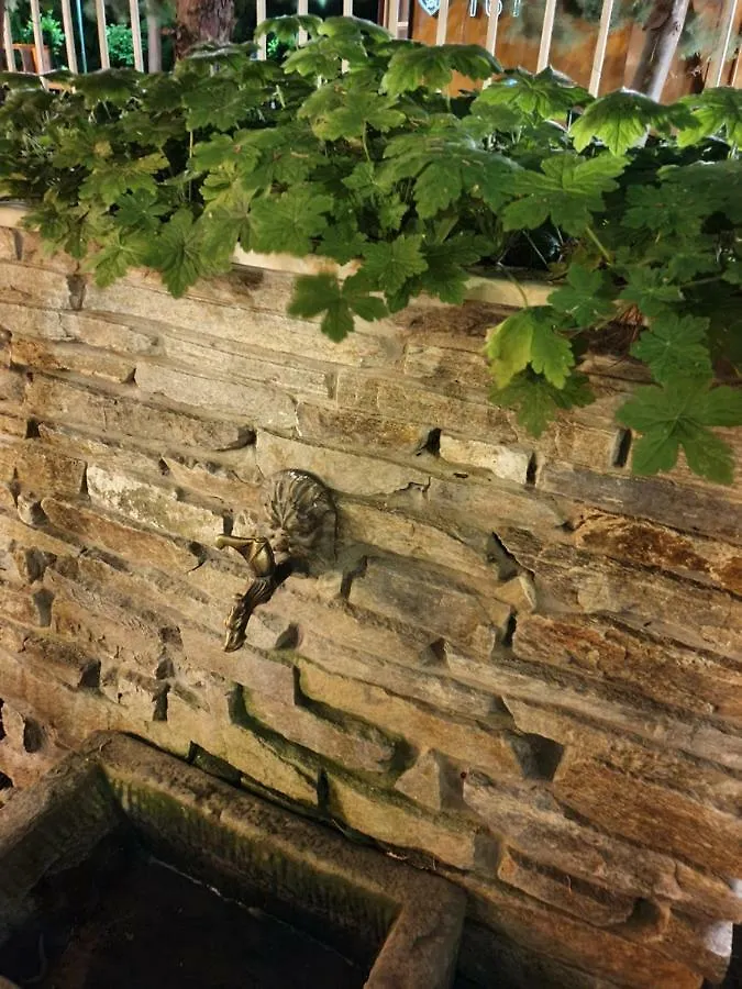 Penzion Villa Brigantina Sluneční pobřeží